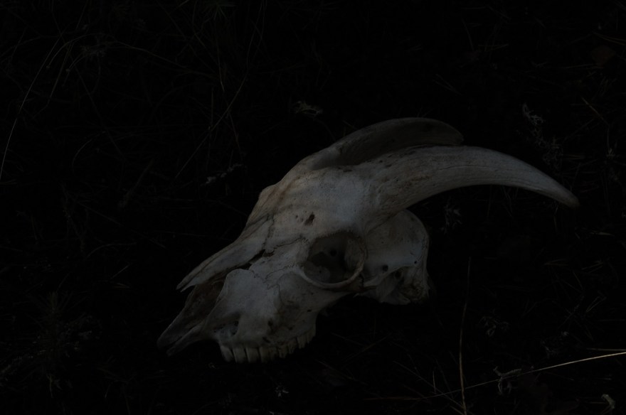 bi__dsc5153_n12_8bits