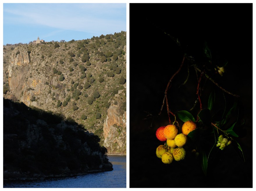 convento_medronhos_8bits