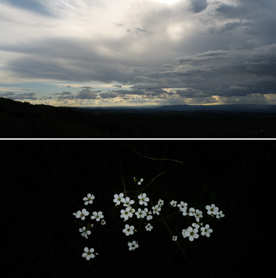 Raven Rock or shepherd's shelter